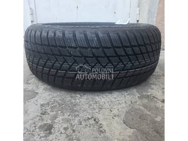 GT Radial 205/55 R16 Zimska