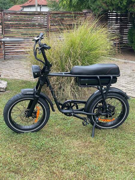 BMW E Fat Bike