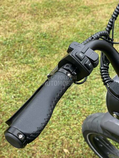 BMW E Fat Bike
