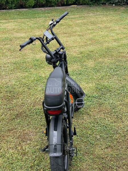 BMW E Fat Bike