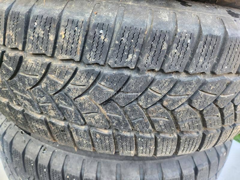 Firestone 195/65 R15 Sve sezone