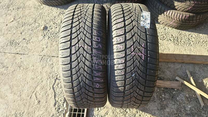 Dunlop 205/55 R16 Zimska