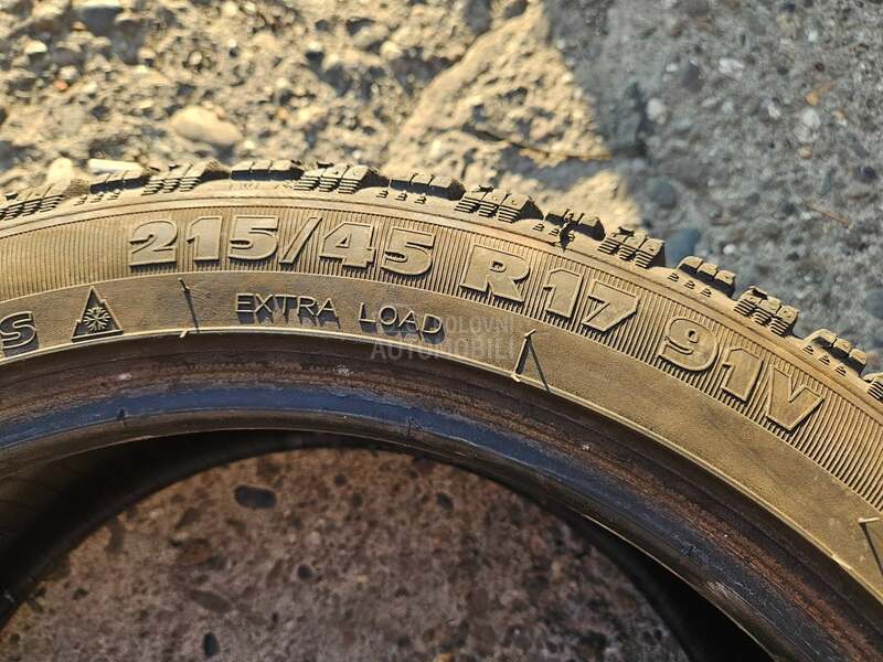Riken 215/45 R17 Sve sezone