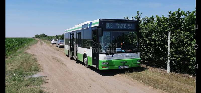 BOVA vise autobusa na prodaju