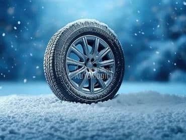 Ostalo 225/55 R16 Zimska