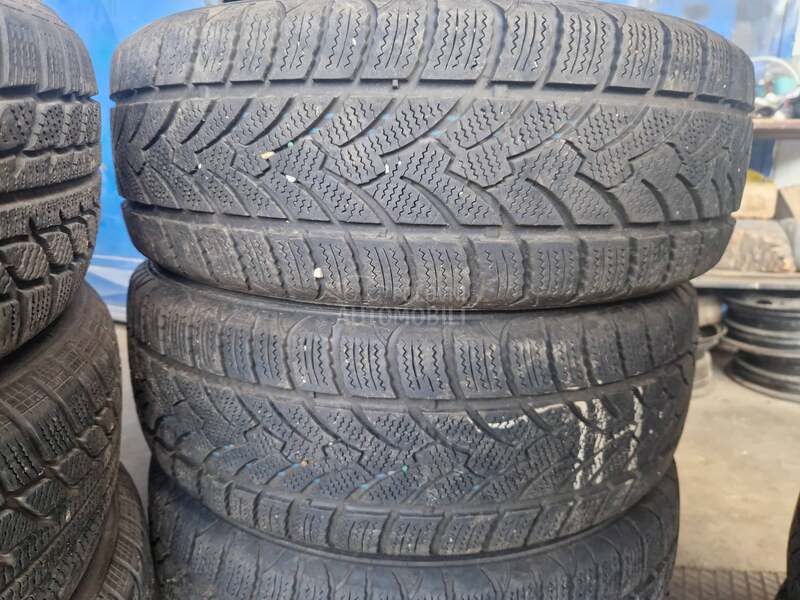 Platin Germany 205/55 R16 Zimska