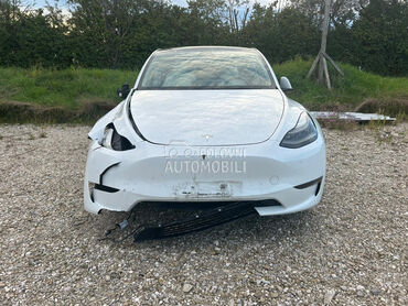 Tesla Model Y Performance