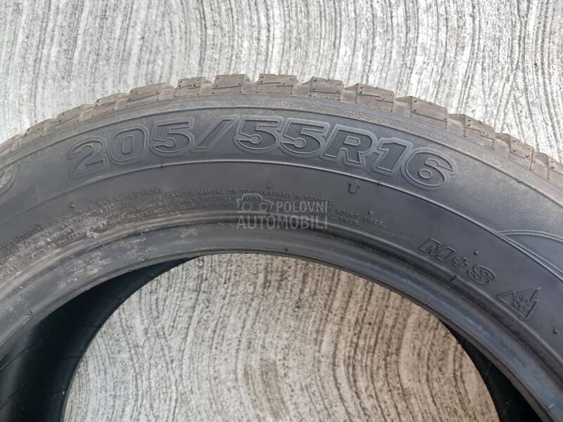 Maxxis 205/55 R16 Sve sezone
