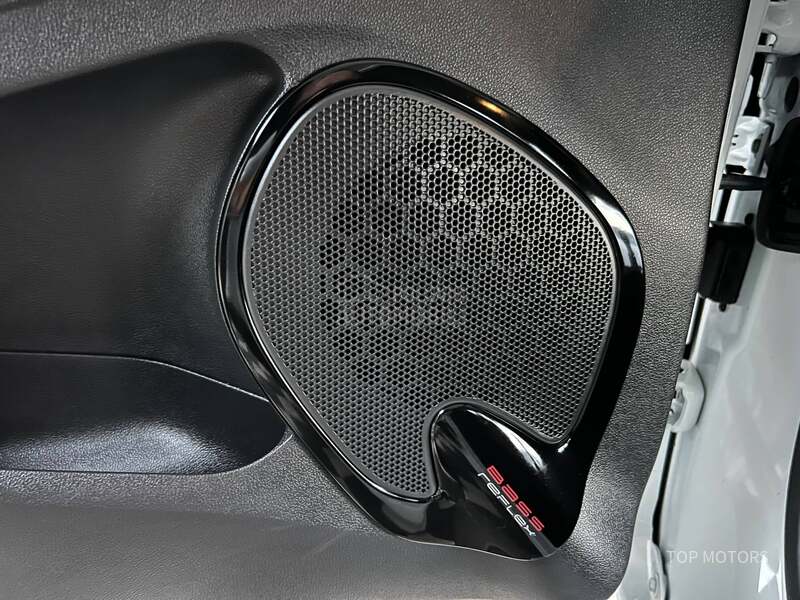 Renault Clio T.O.P STANjE