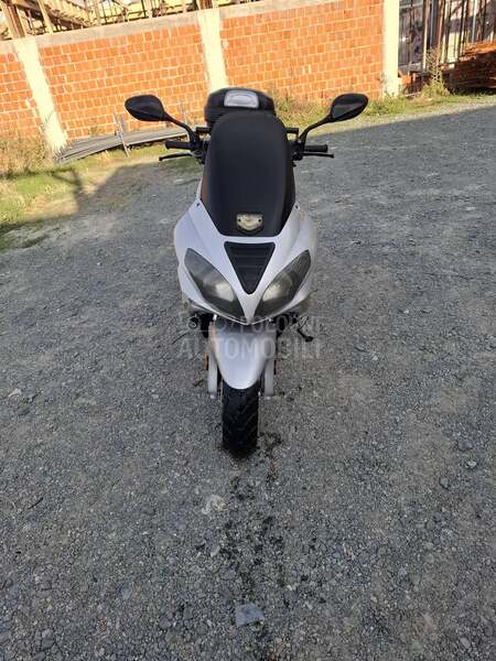 Sprint grizy