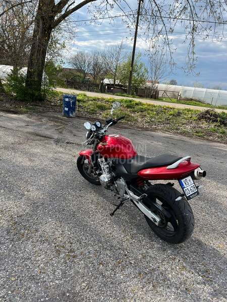 Honda Hornet