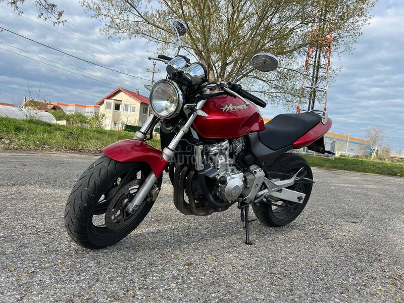 Honda Hornet