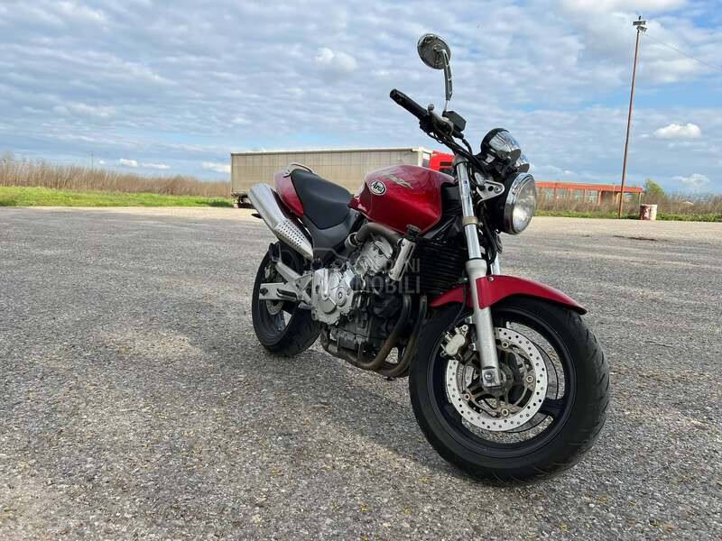 Honda Hornet