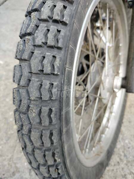 Rex 125