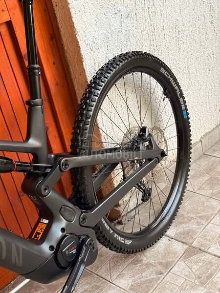 Canyon Nerve 29