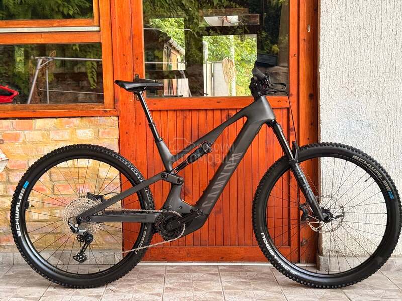 Canyon Nerve 29