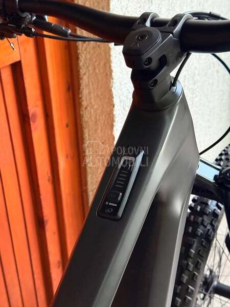 Canyon Nerve 29