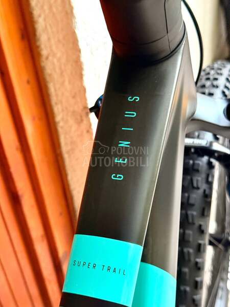 Scott Genius 29