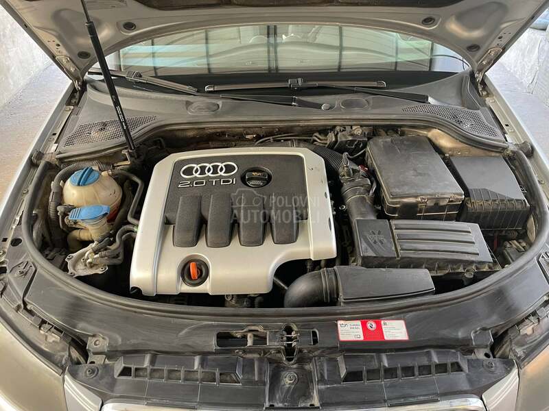 Audi A3 8P 2.0 TDI