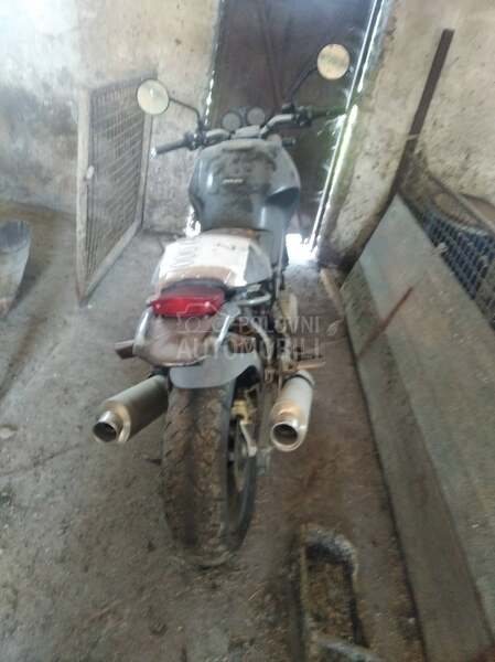 Ducati Monster 600