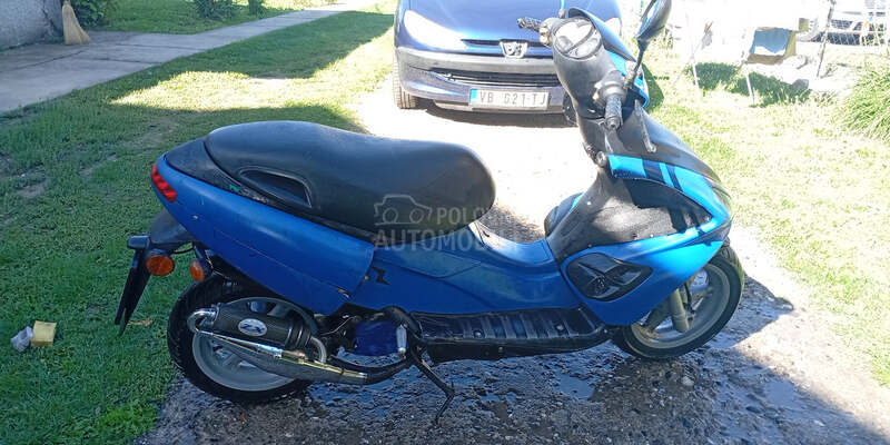 Benelli 491