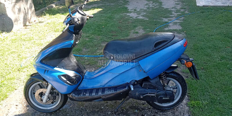 Benelli 491