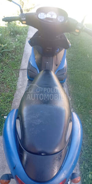 Benelli 491