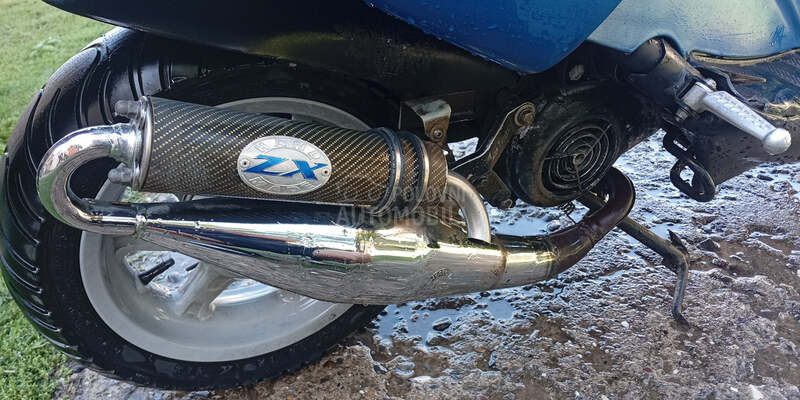 Benelli 491