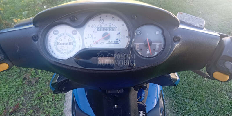 Benelli 491
