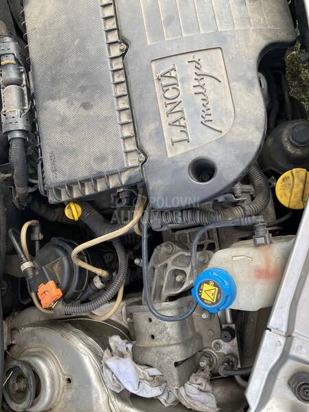 Lancia Ypsilon 1,3mjtd