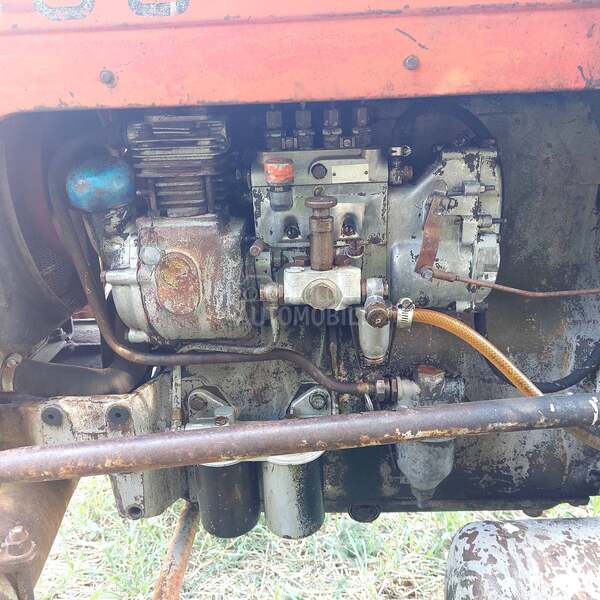 Ursus 355