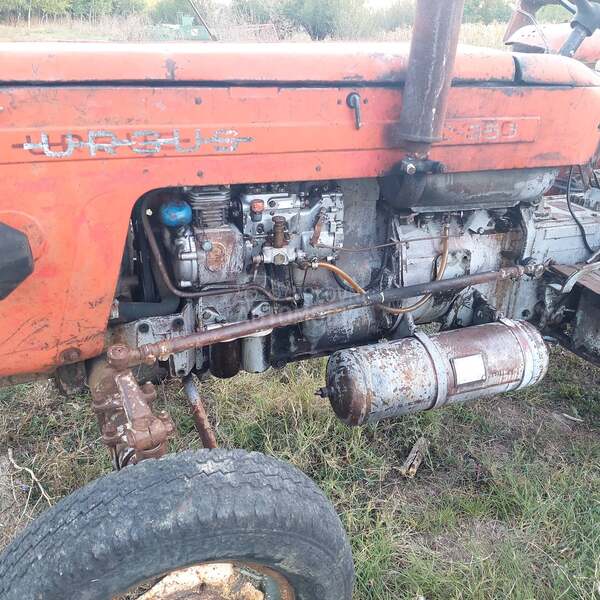 Ursus 355