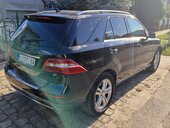 Mercedes Benz ML 250 Sport