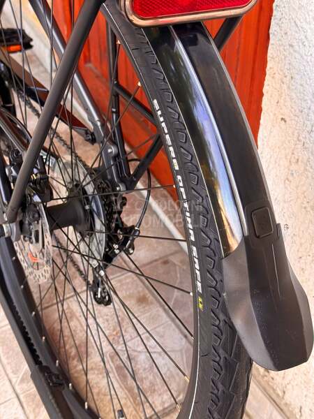 Pegasus Premio sl 28