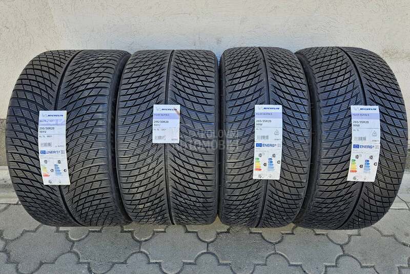 Michelin 295/30 R20 Zimska