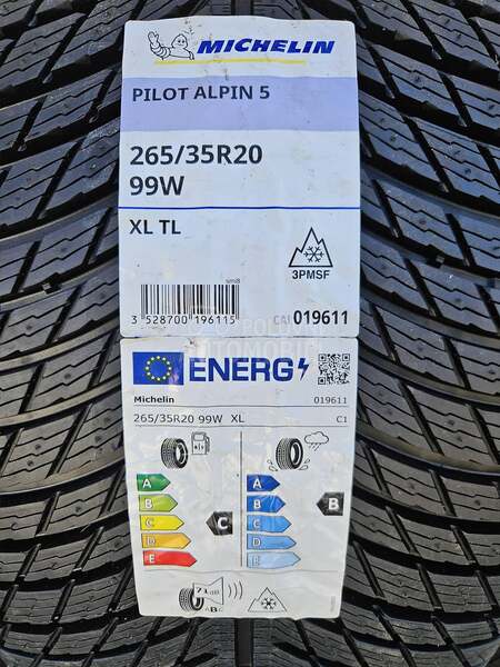 Michelin 295/30 R20 Zimska