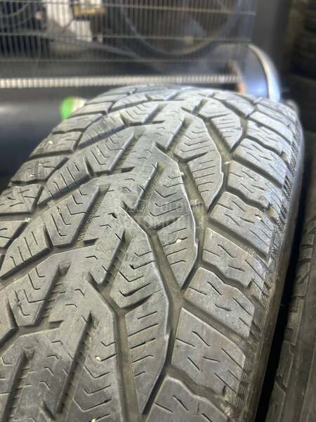 Orium 195/55 R16 Zimska