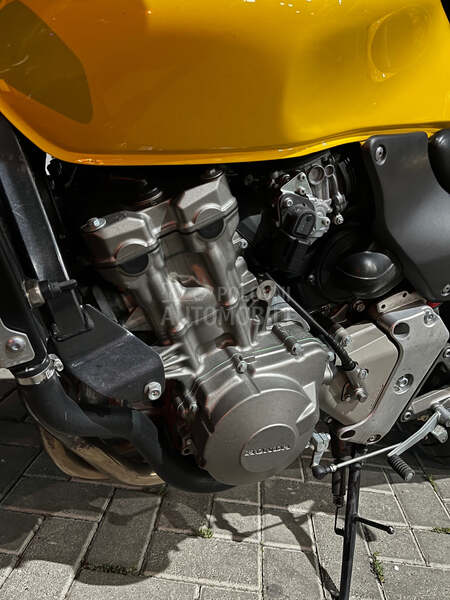 Honda Hornet