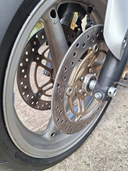 Honda hornet
