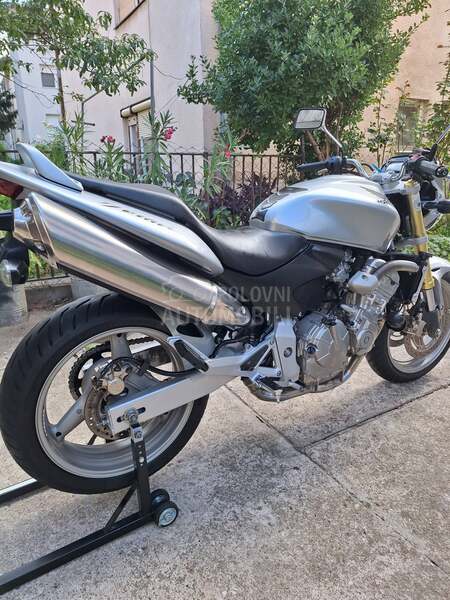 Honda hornet