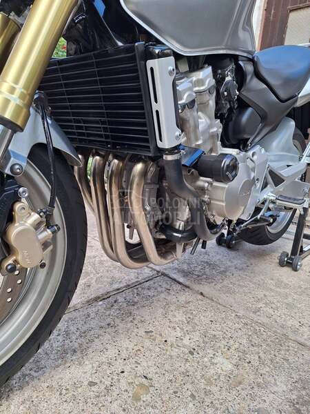 Honda hornet