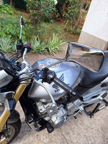 Honda hornet