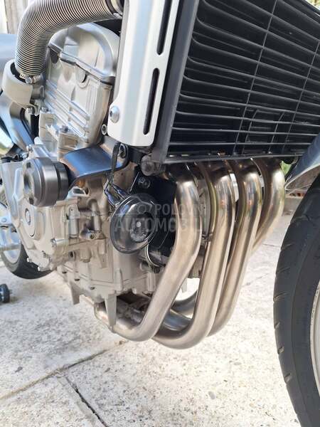 Honda hornet