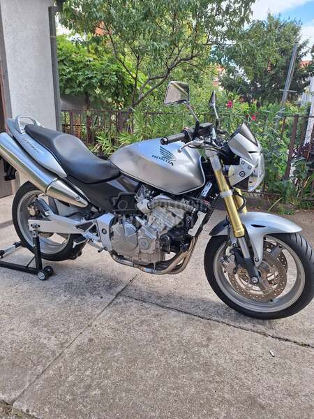 Honda hornet