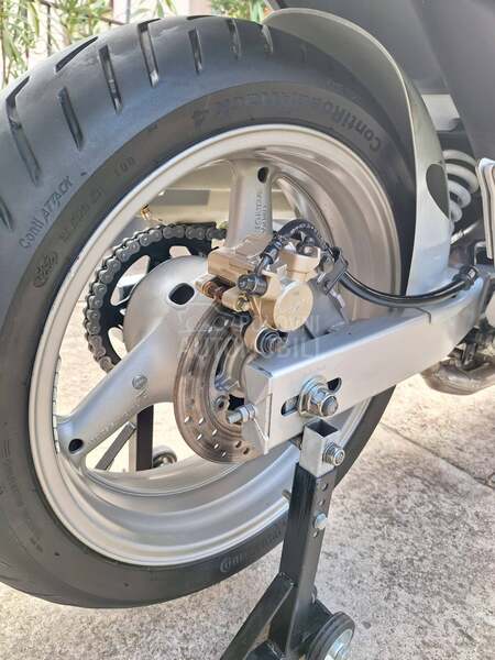Honda hornet