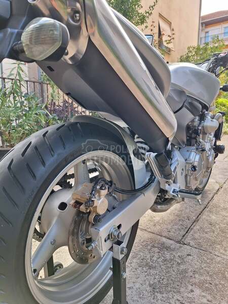 Honda hornet