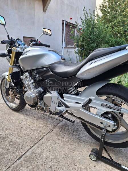 Honda hornet