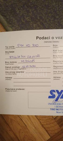 Sym HD 300