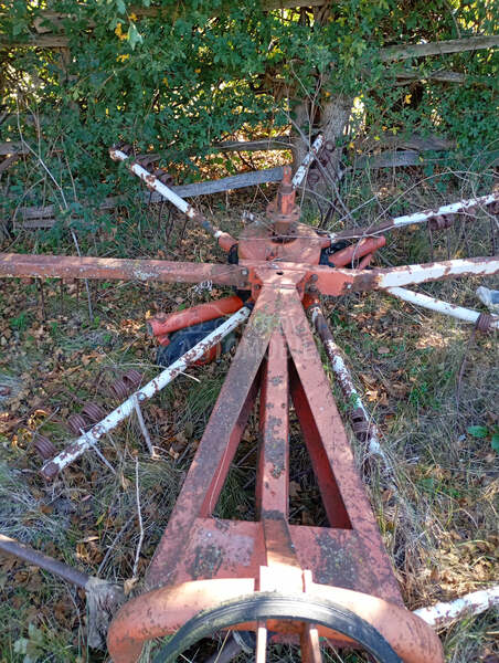 Kuhn balerina