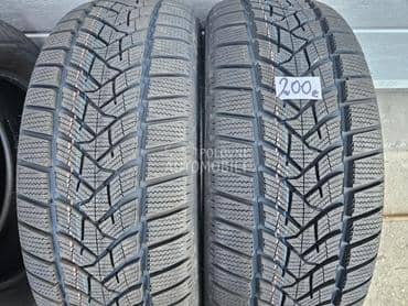 Dunlop 225/55 R19 Zimska